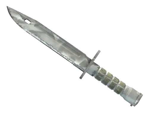 刺刀（★ StatTrak™） | 都市